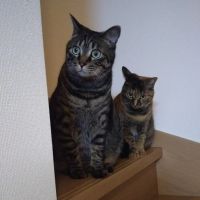 F31 会員画像