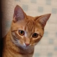 会員画像