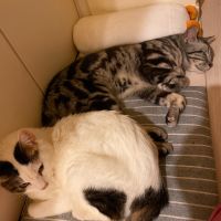 サニー&しーちゃんママさん