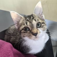 あるゆか 会員画像