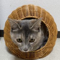 はちから 会員画像