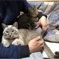 会員画像