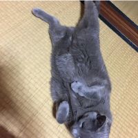 マグン 会員画像