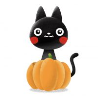 ピザ太郎 会員画像