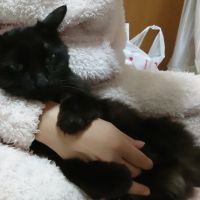 ちるりん 会員画像