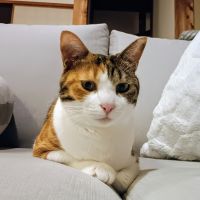 さとうまろんさん
