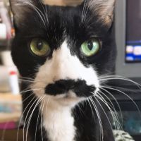 ありねー 会員画像