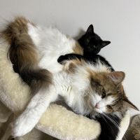 ユイ678 会員画像