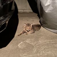 かっちゃん1998 会員画像