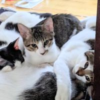 一軒家シェルターさん