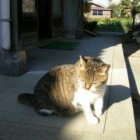 会員画像