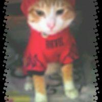 ひなたろす 会員画像