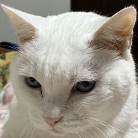 みゃーさん 会員画像