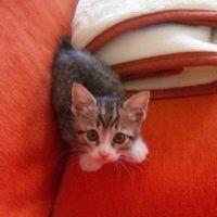 まりねえ 会員画像