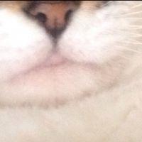 しょうちん 会員画像