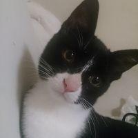 あやか! 会員画像