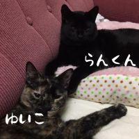 にぼしもなか 会員画像