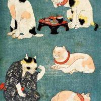 JunJun000 会員画像