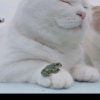会員画像