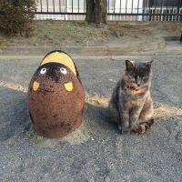 会員画像