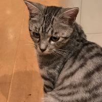 ぼぎい 会員画像