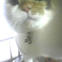 鈴ちゃん♪ 会員画像