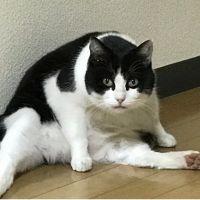 寿希 会員画像