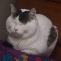 会員画像