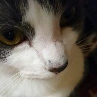 もたもたバァ 会員画像