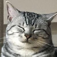 もかもも 会員画像