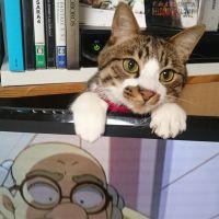 会員画像