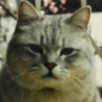 まきき 会員画像
