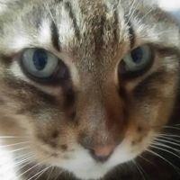 オカザキ 会員画像