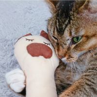 がんもさんさん