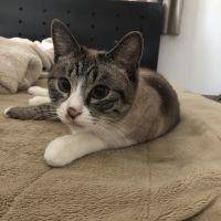 gushi94 会員画像