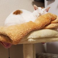 会員画像
