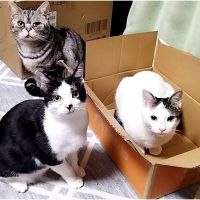 いもも 会員画像