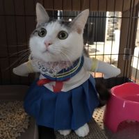 kanalizza 会員画像
