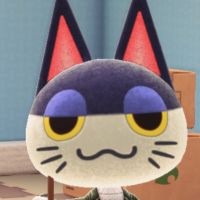 くまさんです 会員画像