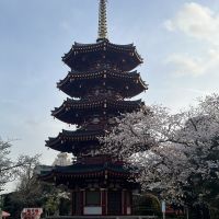 まーちん。 会員画像