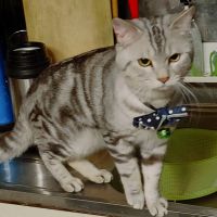 ソラシ 会員画像