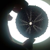 ちゃちゃ35 会員画像