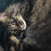 れおたんこ 会員画像