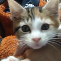 yulalaLOVE 会員画像