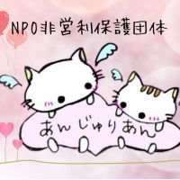 あんじゅりあんさん