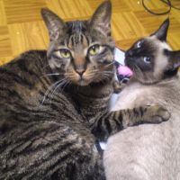 モンレオ母さん