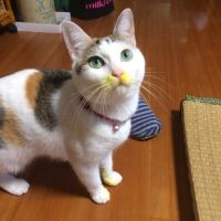 KUPPYさん