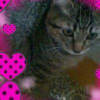 小さな木の実 会員画像