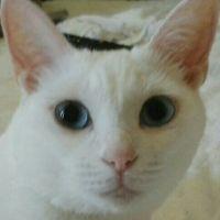 aka1001 会員画像