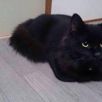 yuおかん 会員画像